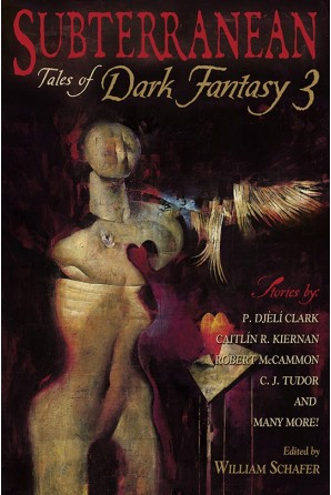 Image for SUBTERRANEAN: TALES OF DARK FANTASY 3