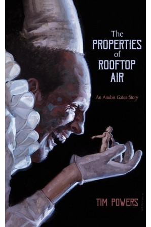Image for THE PROPERTIES OF ROOFTOP AIR (signed/limited ed.)