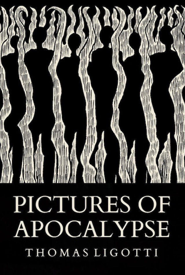 PICTURES OF APOCALYPSE
